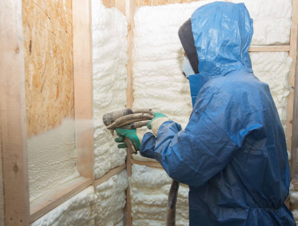 Best Commercial Insulation Services  in Eagle, NE